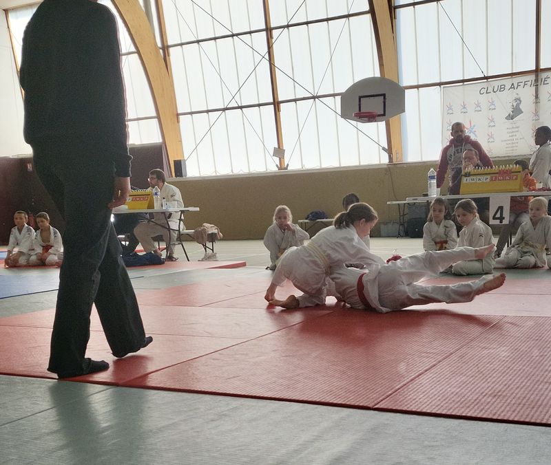 Retour sur le Tournoi de Précigné