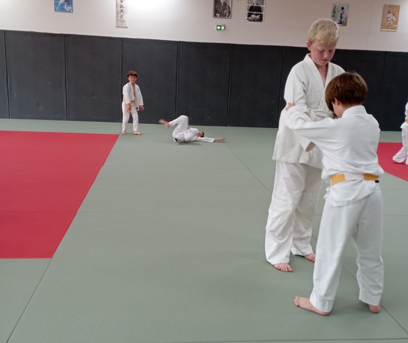 Stage de Judo