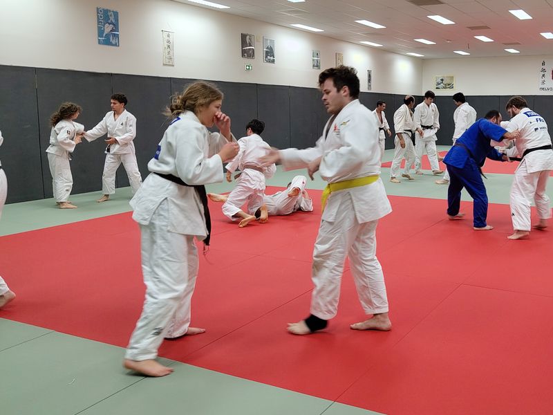 Randori sur la séance des adultes