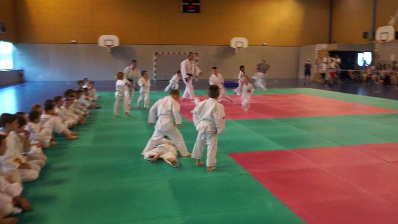 images/image_5cbe7d1a51e8.jpg