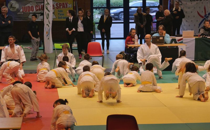 Echauffement collectif des poussins