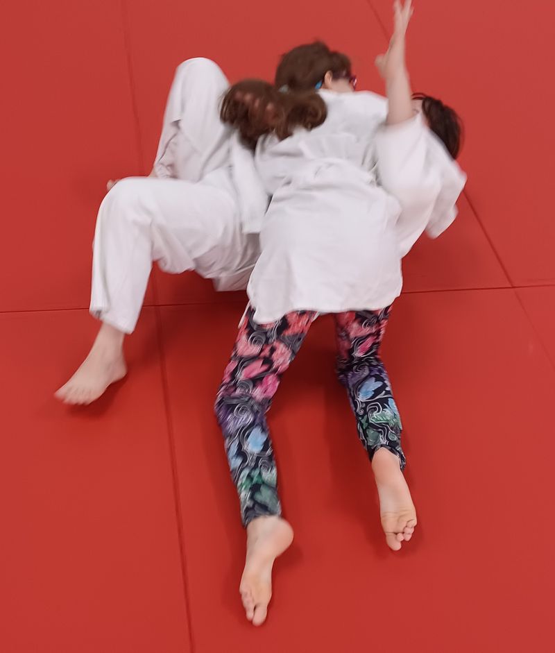 Initiation Judo avec les enfants de l'APAJH Le Mans